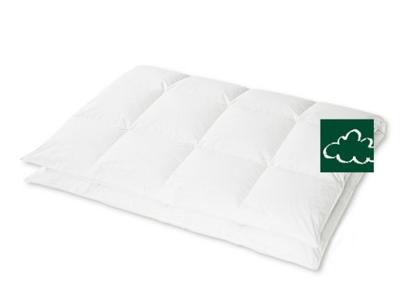 HANSKRUCHEN Kassettendecke REGENT medium