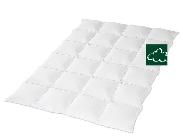 HANSKRUCHEN Kassettendecke REGENT medium