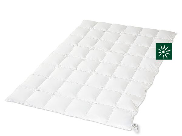 HANSKRUCHEN Kassettendecke REGENT leicht