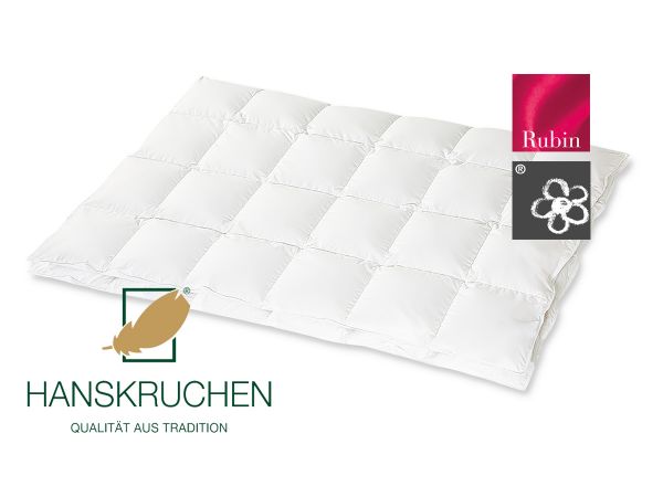 HANSKRUCHEN Kassettendecke RUBIN leicht