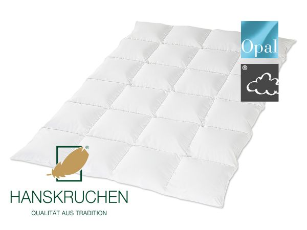 HANSKRUCHEN Kassettendecke OPAL medium