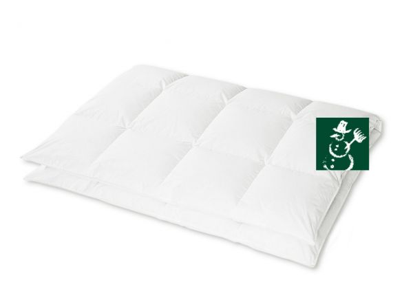 HANSKRUCHEN Kassettendecke REGENT extra warm