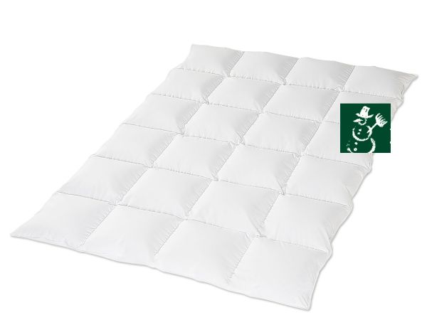 HANSKRUCHEN Kassettendecke REGENT extra warm