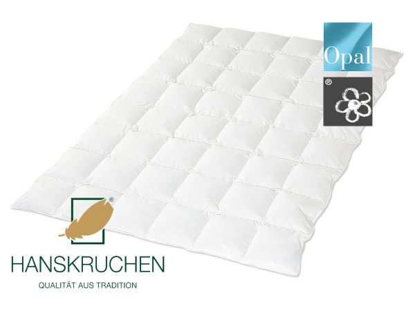 HANSKRUCHEN Kassettendecke OPAL leicht