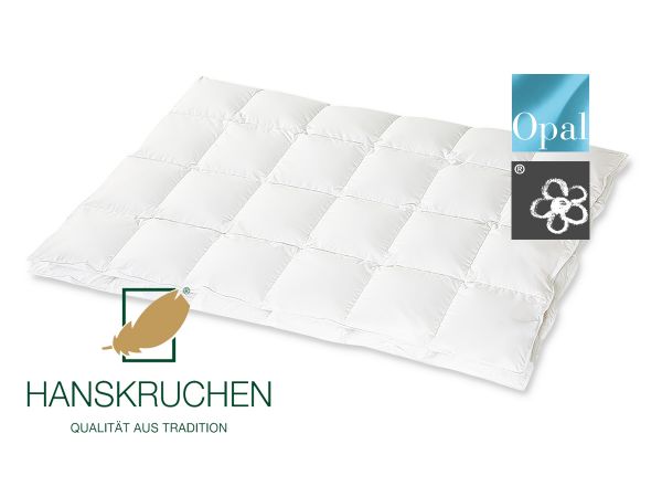 HANSKRUCHEN Kassettendecke OPAL leicht